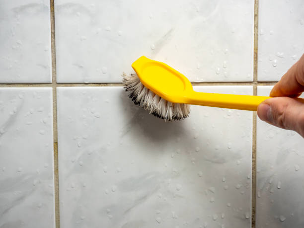 Best Mold Removal Specialists  in Stansbury Park, UT