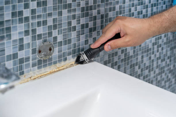 Best Local Mold Removal Service  in Stansbury Park, UT